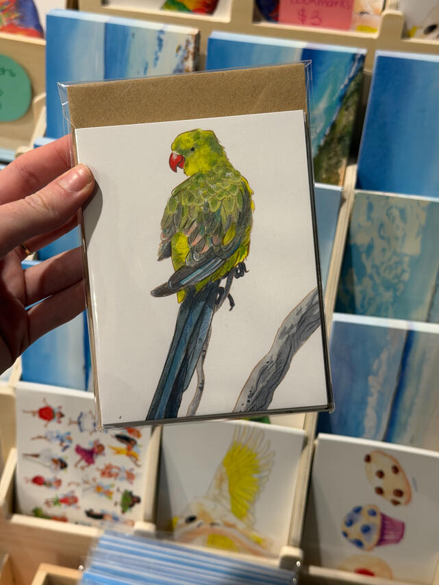Portrait South Australian Birds Card Set