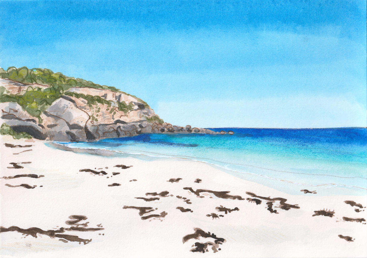 Shell Beach - illustration for various print products